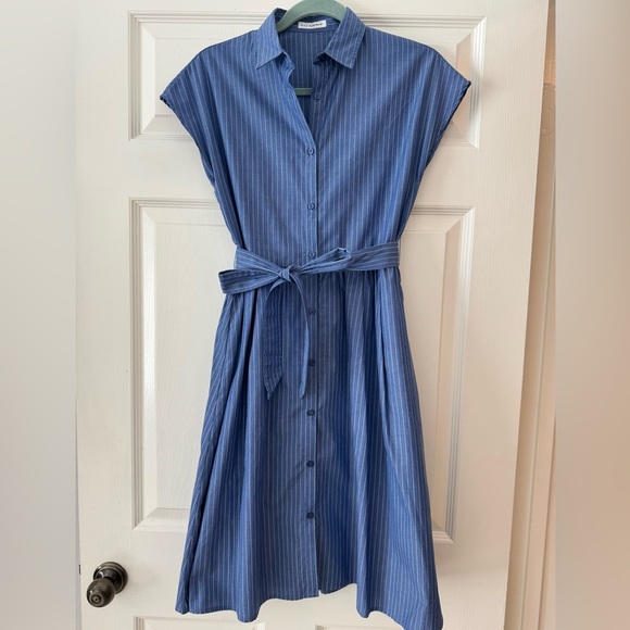 a.v.v. standard Dresses & Skirts - a.v.v. Standard Blue Striped Button-Down Dress